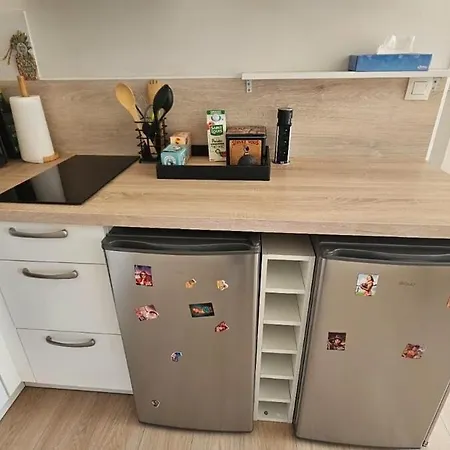 Hyper Centre With Garage Le Mans