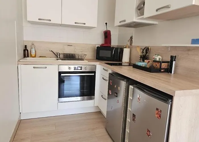 Hyper Centre With Garage 公寓 勒芒