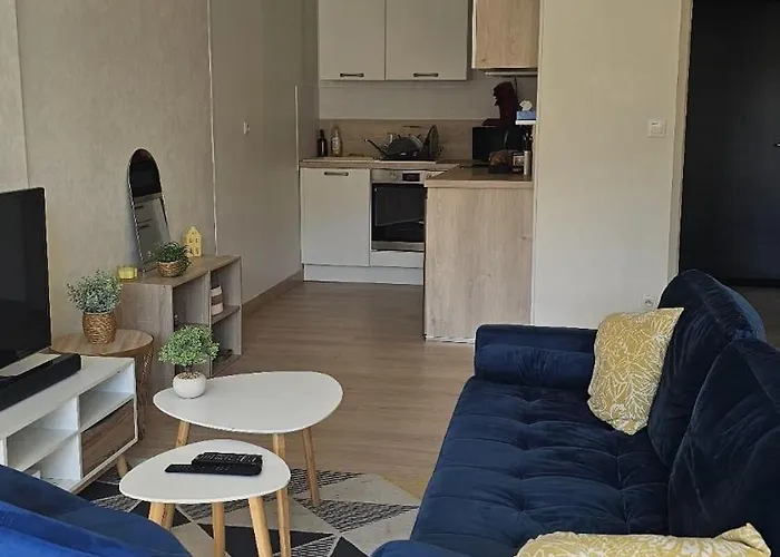 Hyper Centre With Garage 公寓 *